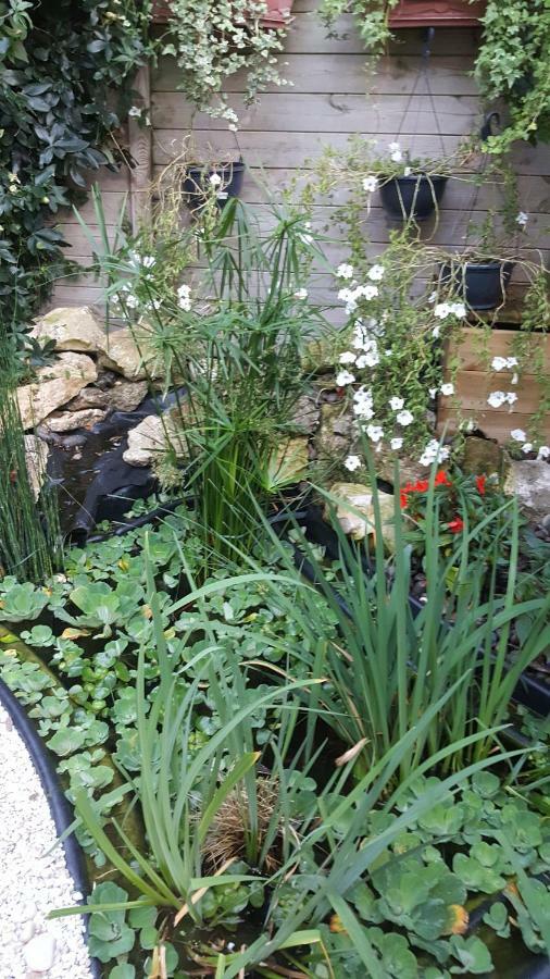 La Chuchotiere Bed & Breakfast Sainte-Maure-de-Touraine Exterior photo